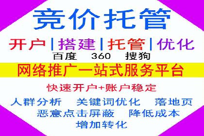 从小白到高手：百度竞价赚钱全记录